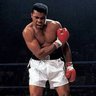 Valyer's profile picture