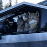 БЕДНАЯ НАСТЯ 的头像