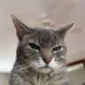 Profilbild von boom