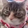 Jami's profile picture