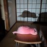 はしん 的头像