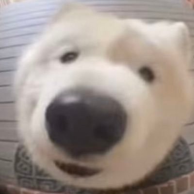 hersch's profile picture