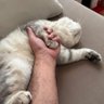 bulent profil fotoğrafı
