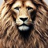 DonKing's profile picture