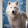 Dalie profil fotoğrafı