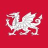 The Anglo Saxon (Ngati Æthelstan)'s profile picture