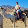 Khaled Zidan 的头像