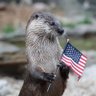 Clark's profile picture