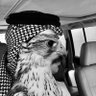 Фото профиля عبدالعزيز