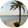 عز's profile picture