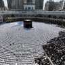 أحب السعودية 的头像