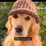 Pupper 的头像