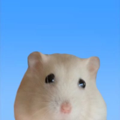maroparun's profile picture