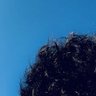 Zeev ✡︎'s profile picture