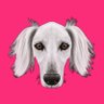 Saluki メ'0🐝's profile picture