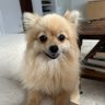 Debra747's profile picture