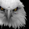 Profilbild von Kai Kai Have(rtz)