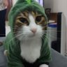 Фото профиля Samwise Gamgee