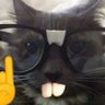 ⌘ max ⌘'s profile picture