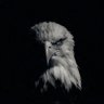 The TRILLIONAIRE's profile picture