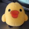 Profilbild von kashi86863