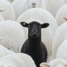 RG's profile picture