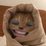 ᯅ̈'s profile picture