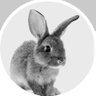 littlegreybunnie 的头像