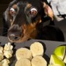 Lusquinha's profile picture