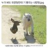 김혜진 的头像