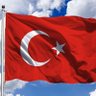 Cüneyt Diyarlı's profile picture