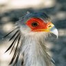 tã»rollðºð«ãððšãðžïžð profil fotoÄrafı