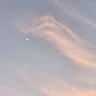 fernldoe's profile picture