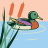 Profilbild von 失败者