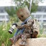 mr groot 的头像