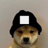 Profilbild von Nick_sol