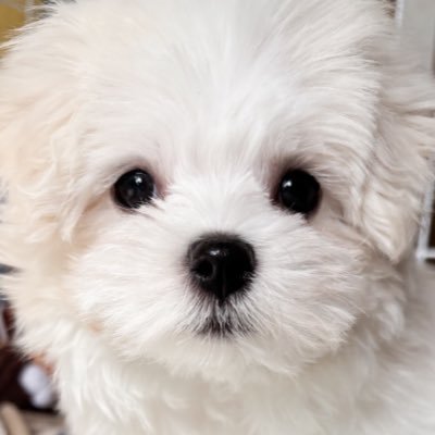 xmilky_1025's profile picture
