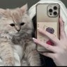 العنود's profile picture