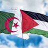 Hamana 🇵🇸🤝🇩🇿✌️'s profile picture