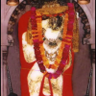 Profilbild von prakash kumar