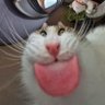 hehehe 的头像
