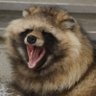 とぅってぃ's profile picture