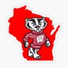 BadgerFan247 的头像
