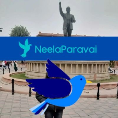 theneelaparavai's profile picture