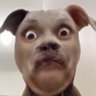 Walter Whitecracker aka Wally's profile picture
