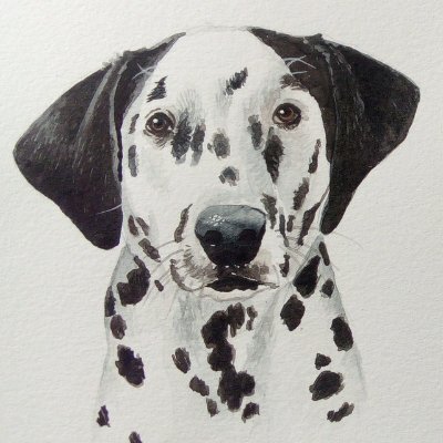 Anthony Isaacson's profile picture