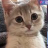 3033's profile picture