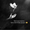 Nada K Sham's profile picture