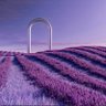 مُــحَــمّــدْ 🙏💜💜💜 的头像