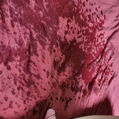 EvanPisses's profile picture